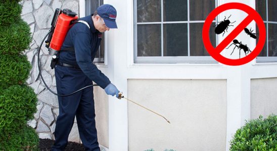 Ümraniye Hamam Böceği İlaçlama böcek ilaçlama ve haşere kontrolü — ilaclama-tr.com